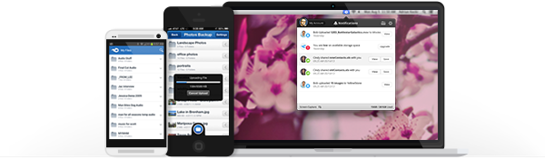Download MediaFire's mobile and desktop apps today